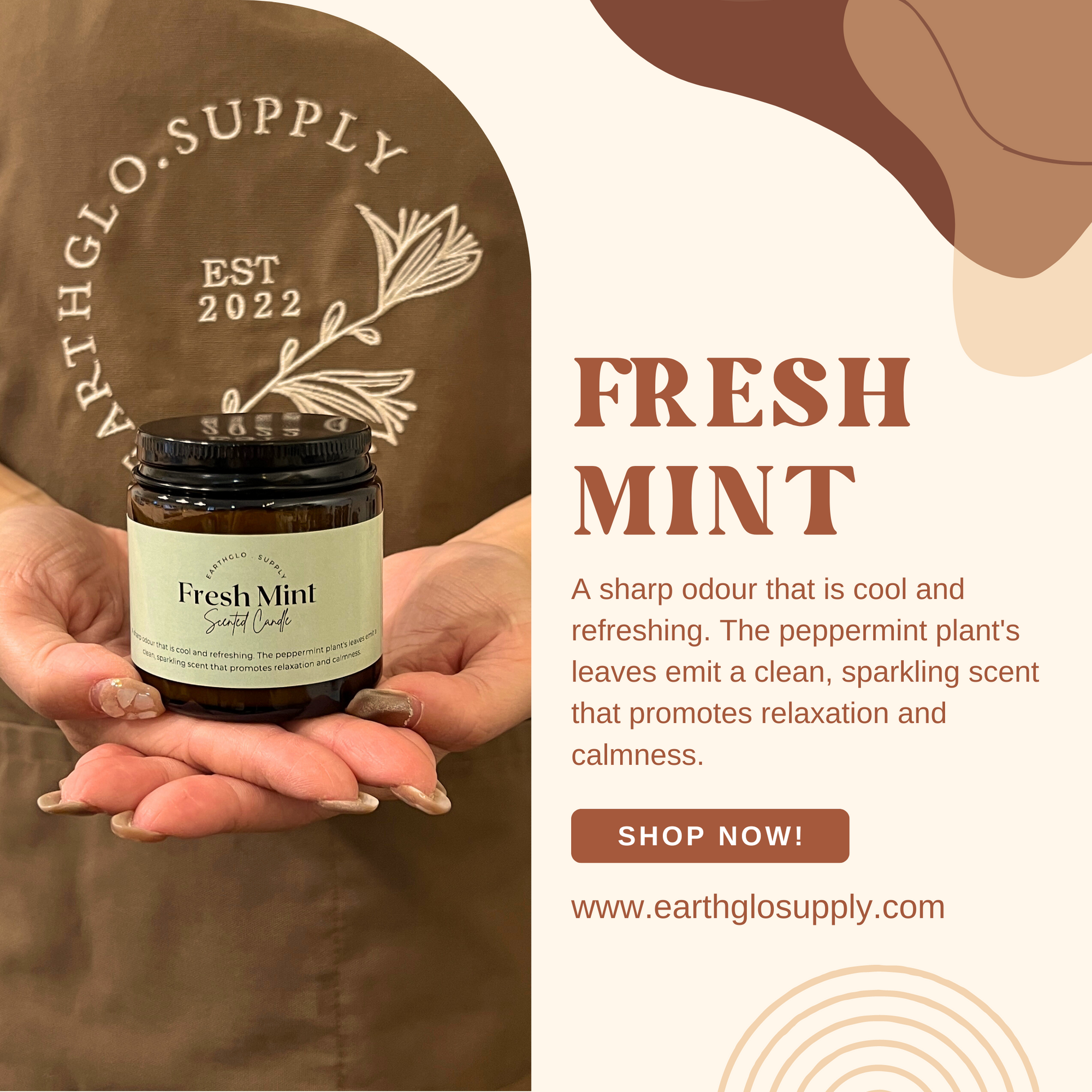 LT X EarthGlo Fresh Mint Candle 120ML